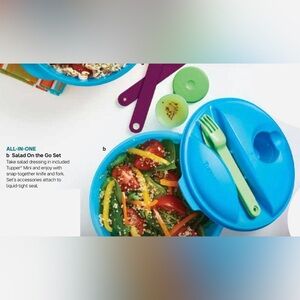Tupperware Salad On The Go Lunch Set